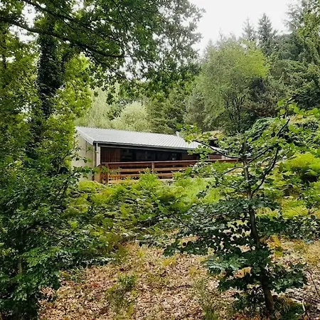 Le Vieux Sart 6 Coo - Holiday home
